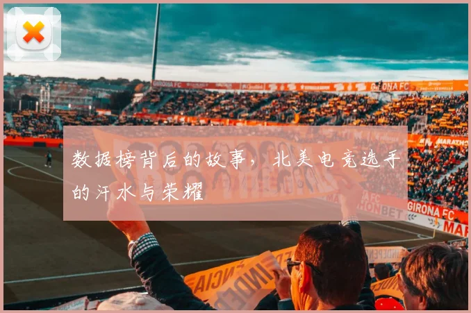 数据榜背后的故事，北美电竞选手的汗水与荣耀